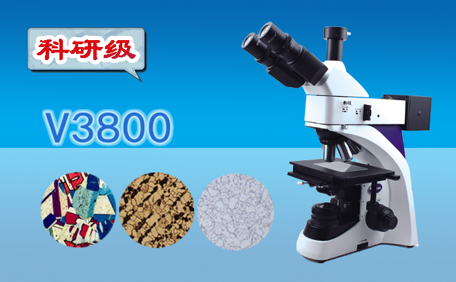 1680747372761506.png 1680747372761506.png